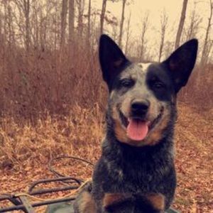 Meet your Posher, Abbie